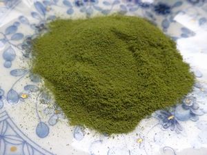 ���[�O���i�E�t�@�[���̗Ώ`