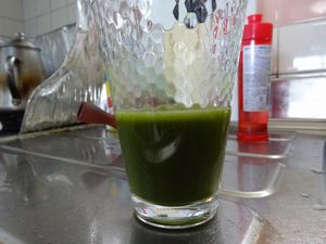 ���[�O���i�E�t�@�[���̗Ώ`