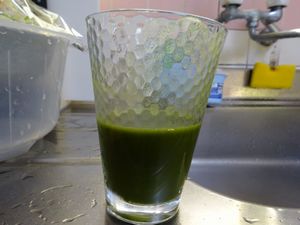 ���[�O���i�E�t�@�[���̗Ώ`