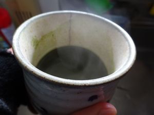 ���[�O���i�E�t�@�[���̗Ώ`