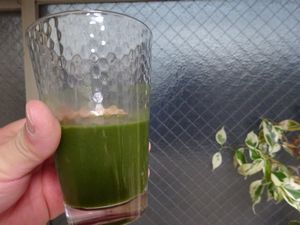 ���[�O���i�E�t�@�[���̗Ώ`