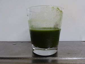 ���[�O���i�E�t�@�[���̗Ώ`