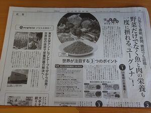 ���[�O���i�E�t�@�[���̗Ώ`